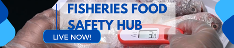 HUB Banner 2
